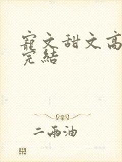 宠文甜文高质量完结