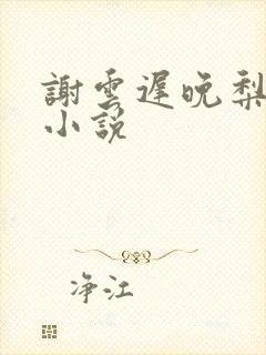 谢云迟晚梨叶希小说