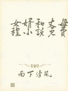 女婿和丈母娘姓程小说免费阅读