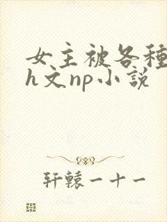 女主被各种调教h文np小说