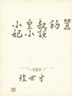 小皇叔的嚣张医妃小说