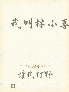 我叫林小喜17