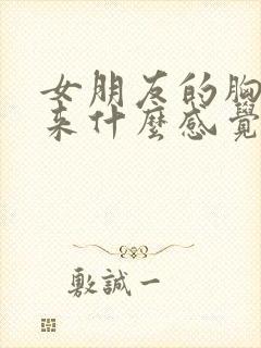 女朋友的胸摸起来什么感觉