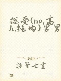 总受(np,高h,纯肉)男男