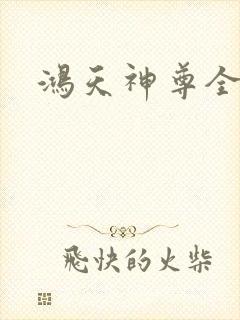 鸿天神尊全封面