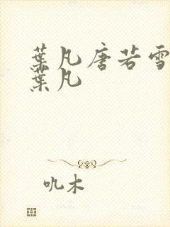 叶凡唐若雪医婿叶凡封面