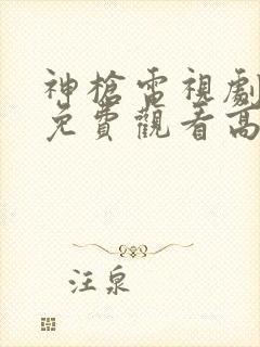 神枪电视剧全集免费观看高清完整版封面