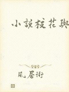 小说校花与乞丐