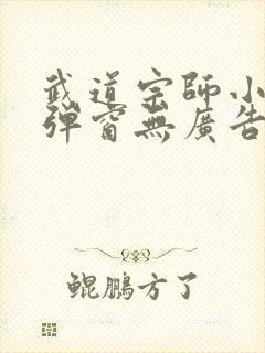 武道宗师小说无弹窗无广告