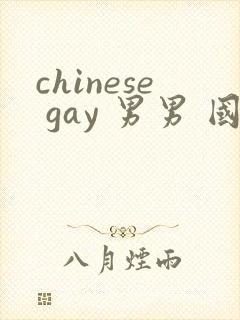 chinese gay 男男 国产