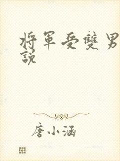 将军受双男主小说