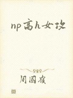 np高h女攻封面