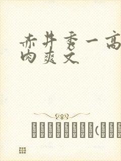 赤井秀一高h荡肉爽文封面