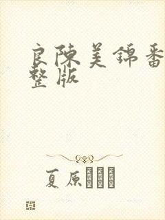 良陈美锦番外完整版