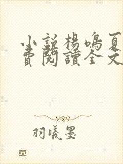 小说杨鸣夏阳免费阅读全文