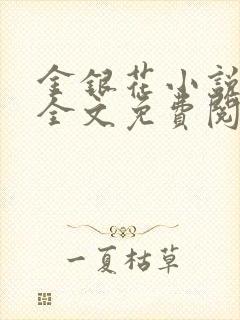 金银花小说在线全文免费阅读封面