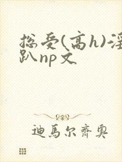 总受(高h)淫趴np文