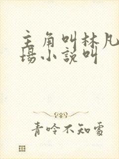 主角叫林凡的官场小说叫