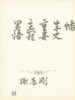 男主重生幡然醒悟宠妻文