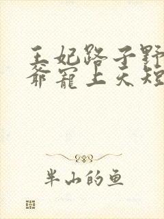 王妃路子野,王爷宠上天短剧