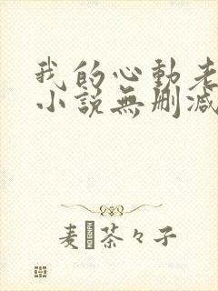 我的心动老板娘小说无删减版封面