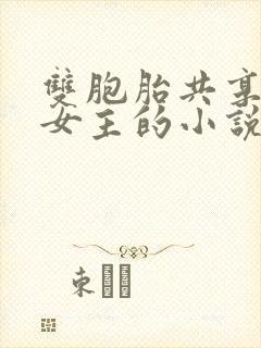 双胞胎共享一个女主的小说