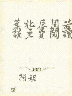 叶北辰周若妤小说免费阅读全文最新