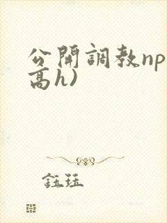 公开调教np(高h)