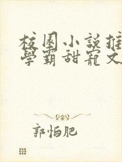校园小说推荐双学霸甜宠文封面