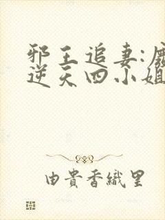邪王追妻:废材逆天四小姐