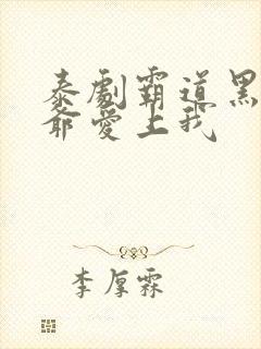 泰剧霸道黑帮少爷爱上我