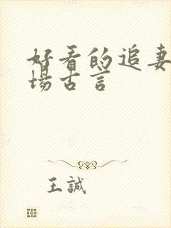 好看的追妻火葬场古言