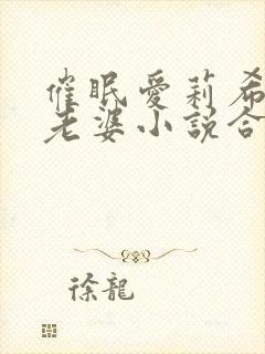 催眠爱莉希雅变老婆小说合法