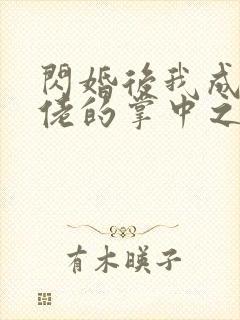 闪婚后我成了大佬的掌中之物阅读