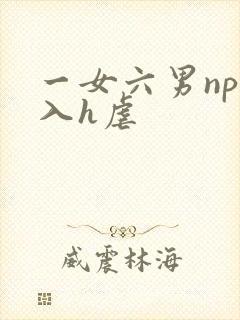 一女六男np慎入h虐