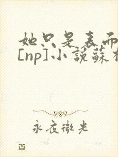 她只是表面清纯[np]小说苏棉封面
