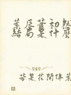 叶辰萧初然最后结局是什么?封面