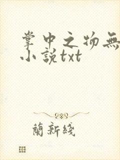 掌中之物无删减小说txt