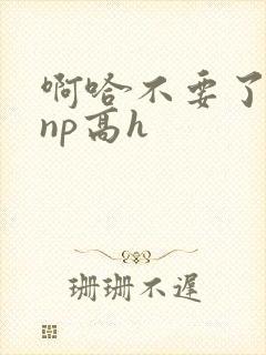 啊哈不要了男男np高h