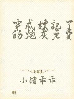 穿成标记了反派的炮灰免费阅读
