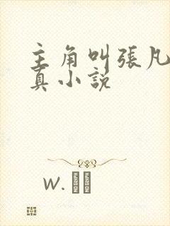 主角叫张凡的修真小说