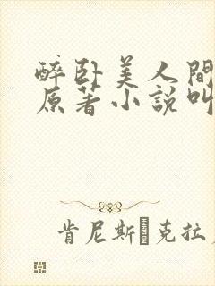 醉卧美人间小说原著小说叫什么名字