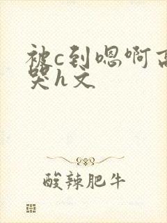 被c到嗯啊高潮哭h文