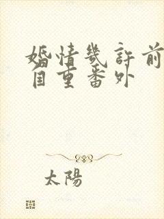 婚情几许前夫请自重番外