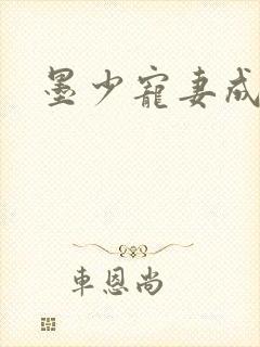 墨少宠妻成瘾