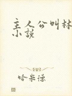 主人公叫林宇的小说