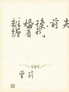 离婚后,前夫老缠着我