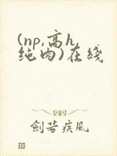 (np,高h,纯肉)在线