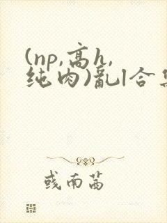 (np,高h,纯肉)乱l合集