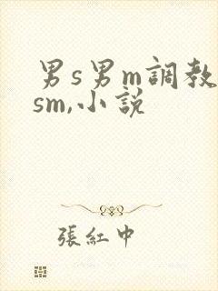 男s男m调教(sm,小说